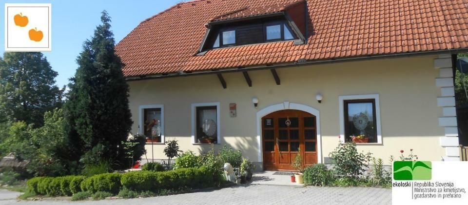 Country House Slemensek Vojnik Zewnętrze zdjęcie